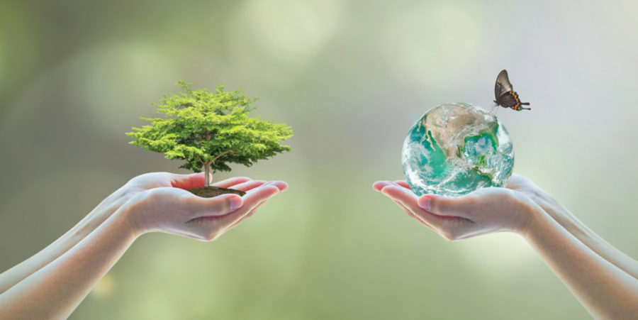 holding nature and planet earth in our hands